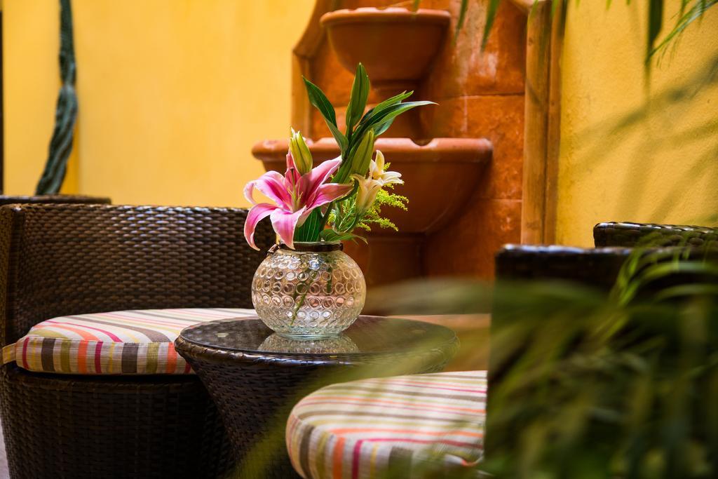 La Galeria by Bunik Otel Playa del Carmen Dış mekan fotoğraf