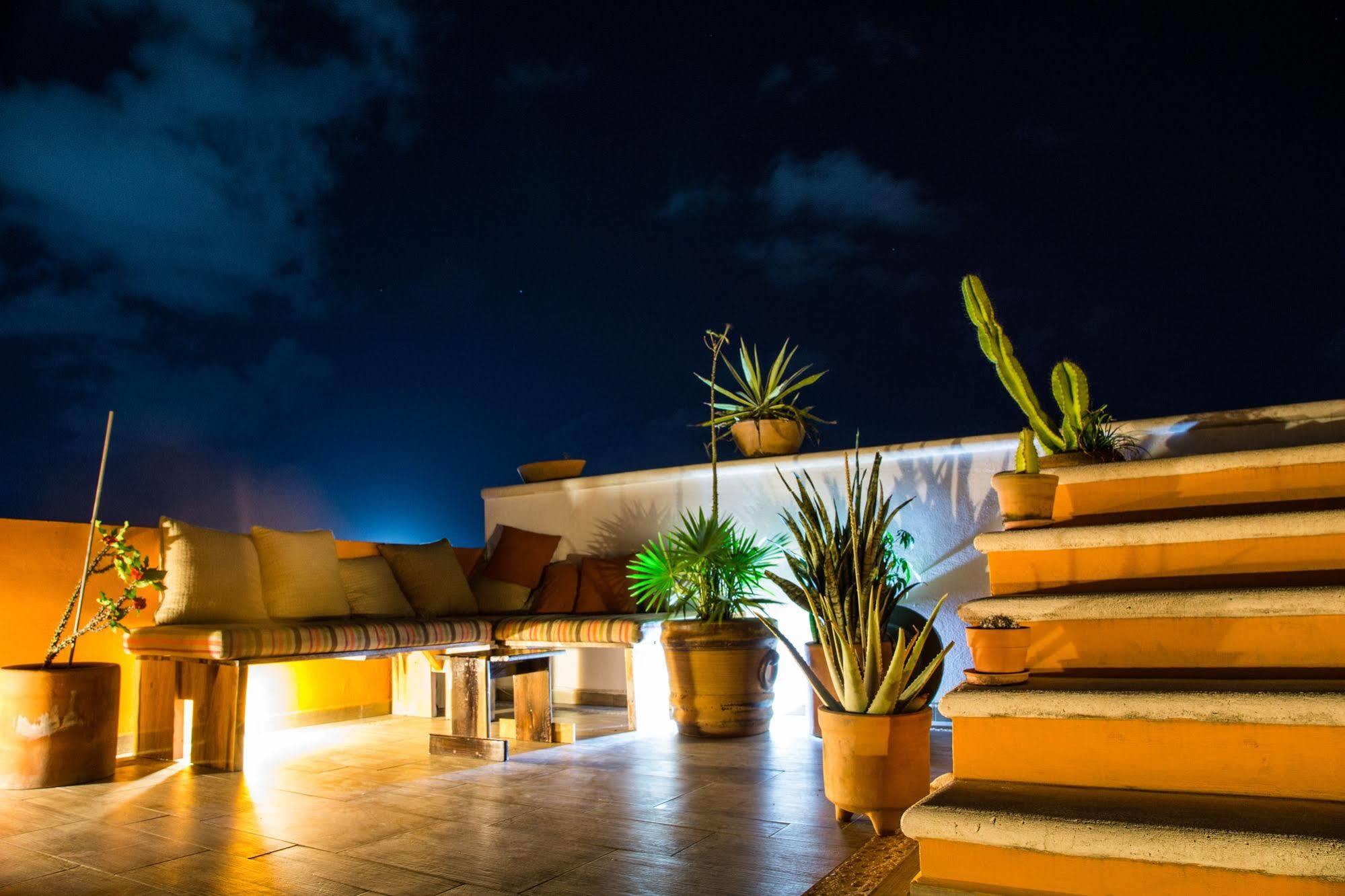 La Galeria by Bunik Otel Playa del Carmen Dış mekan fotoğraf