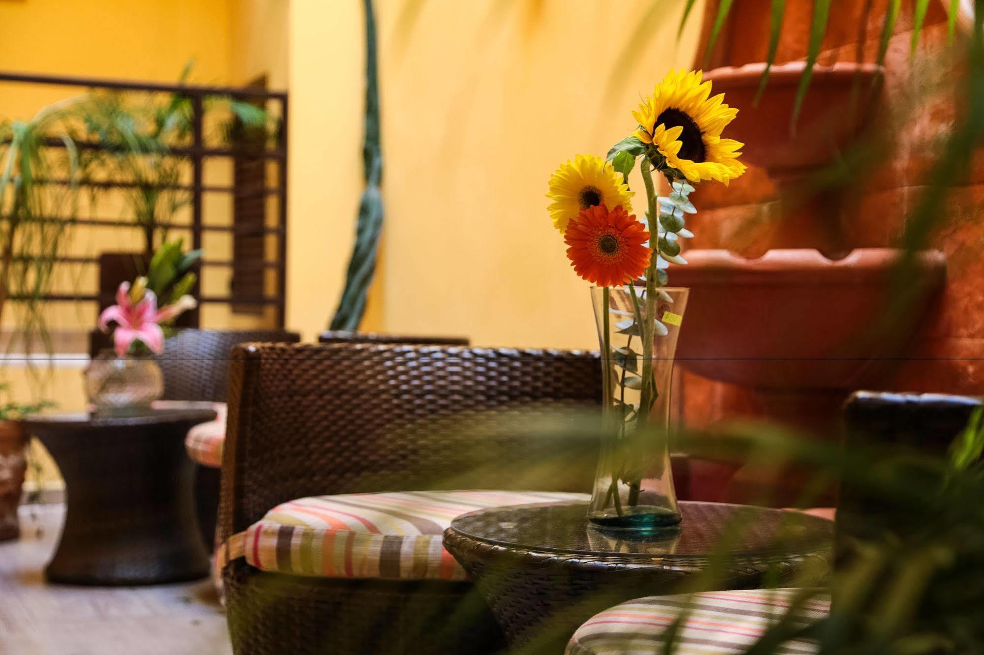 La Galeria by Bunik Otel Playa del Carmen Dış mekan fotoğraf